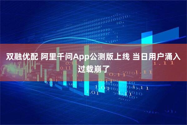双融优配 阿里千问App公测版上线 当日用户涌入过载崩了