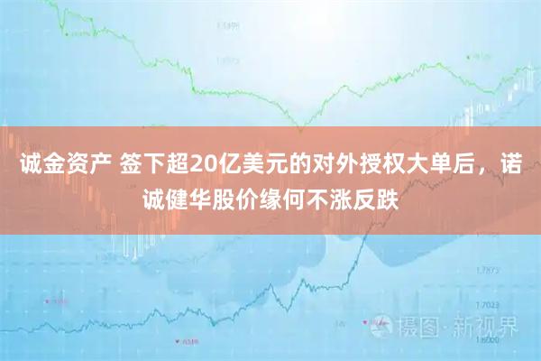 诚金资产 签下超20亿美元的对外授权大单后，诺诚健华股价缘何不涨反跌