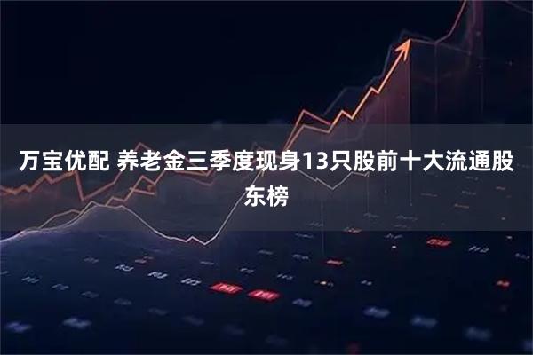 万宝优配 养老金三季度现身13只股前十大流通股东榜