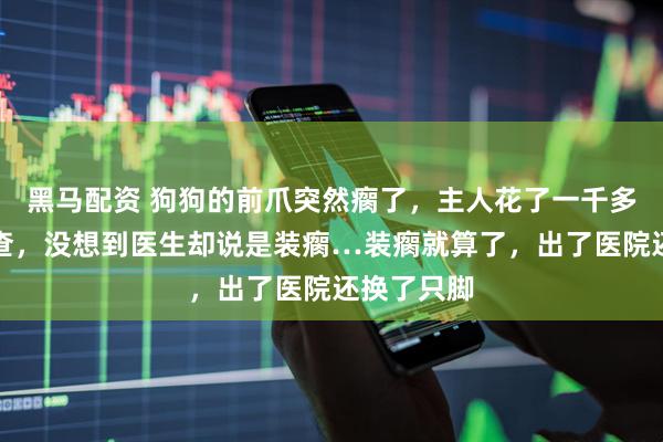 黑马配资 狗狗的前爪突然瘸了，主人花了一千多去医院检查，没想到医生却说是装瘸…装瘸就算了，出了医院还换了只脚